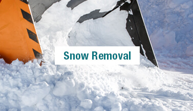 Snow Removal